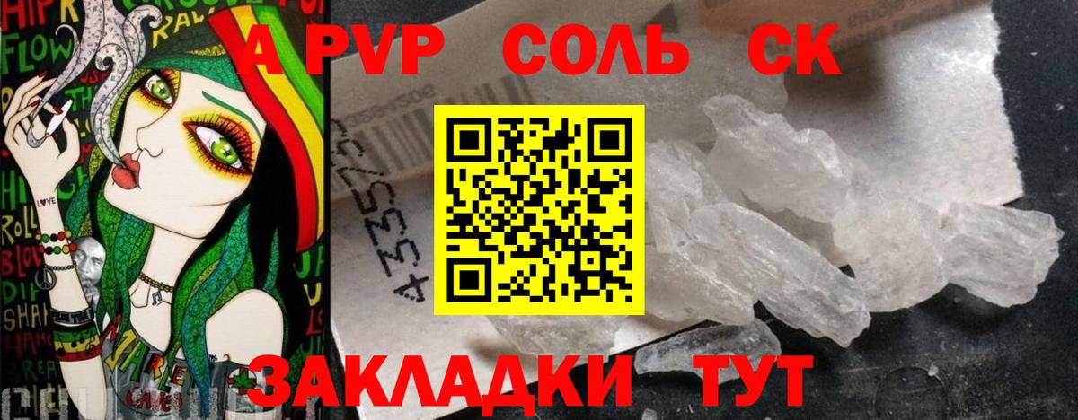 APVP СК Кисловодск
