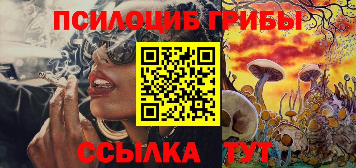 Псилоцибиновые грибы ЛСД  Вход с VPN  Кисловодск 