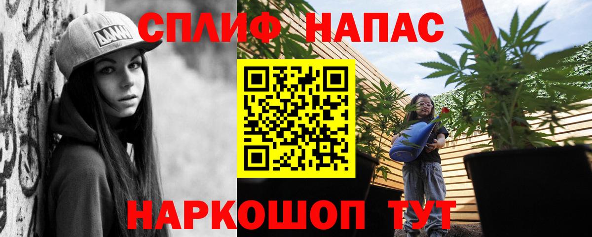 Каннабис OG Kush Кисловодск